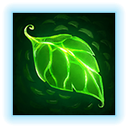 sprout
