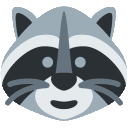 raccoon